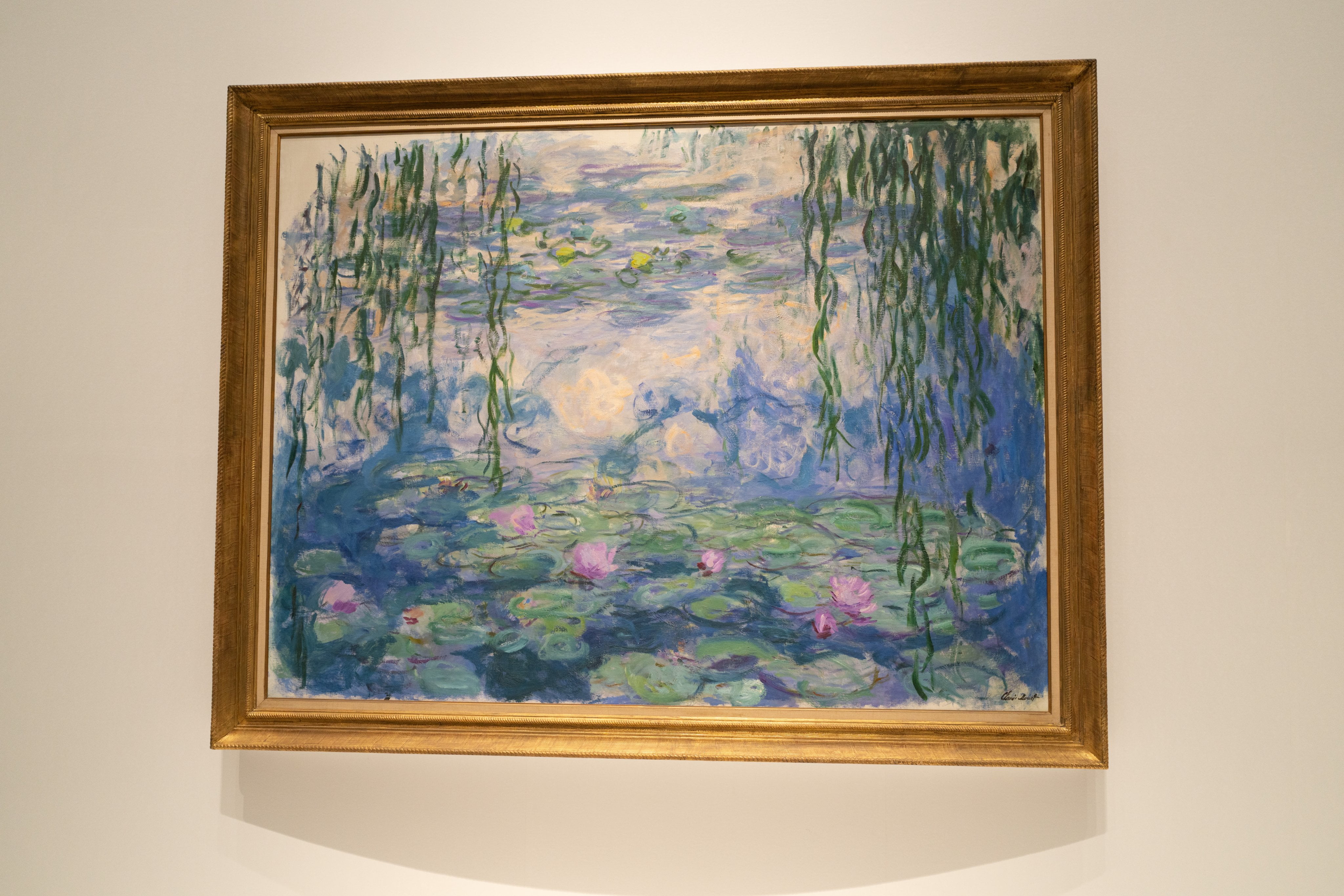 Monet's Water Lilies Exhibition in Tokyo